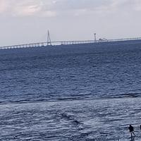 玉树临风雷大侠头像