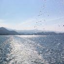 斌就是我53444的个人资料头像