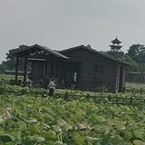 皇刘头像