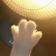 坷坷的个人资料头像