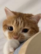 kingw的个人资料头像