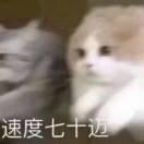 Tywl5的个人资料头像