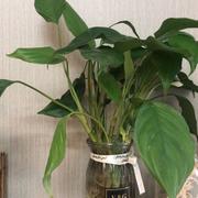 黄晓472的个人资料头像