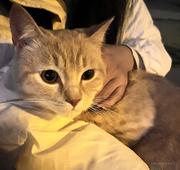 小马超好的个人资料头像