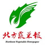 SGRB头像
