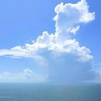 用户926796369078头像