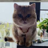 斌仔有梦想头像