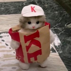 亲切小猫z0z头像
