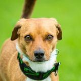 活泼豆花We头像