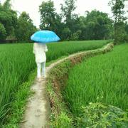 鱼儿飞的个人资料头像