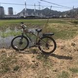 电车手头像