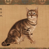 老昌说车头像
