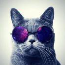 waves86的个人资料头像