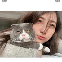 尘世小输童头像