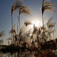 用户6076167420204头像