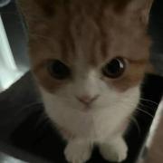 愛你的个人资料头像