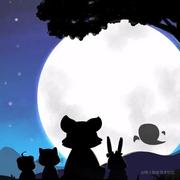 疯狂星期四的个人资料头像