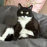 用户3572396144291头像