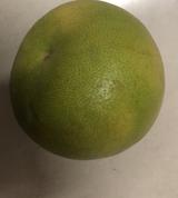 嘉禾望岗118头像