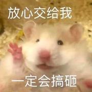 我不想干了的个人资料头像