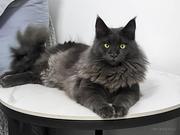 99757708的个人资料头像