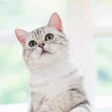 往后余生指教你头像