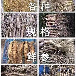 长白山绿色工坊头像