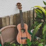 多才多艺饺子HG8头像