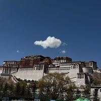 开探歌的搞笑女头像