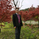 兴义女发设计发头像