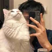 threespider的个人资料头像