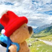 用户7254281926195的个人资料头像