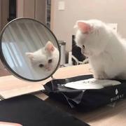 我一定是前端的喂的个人资料头像