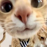 zyk42的个人资料头像