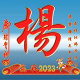 开朗漂流瓶T头像