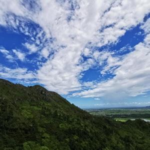 三湖郑振伟头像