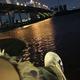浅夏诗韵P7头像