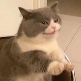 用户2557134265097头像