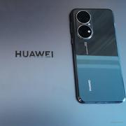 随手一打七个字的个人资料头像