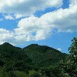 嶺南雲头像