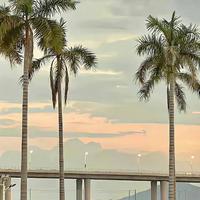 忧愁斩不断相思头像