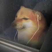 東山塚的个人资料头像