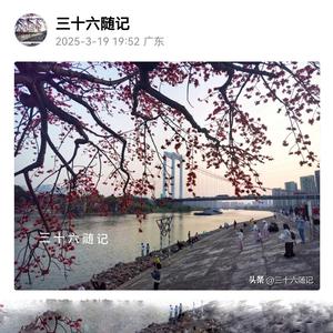 光影简记头像