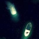 知止BorderF的个人资料头像