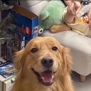 吃不完的小饼干的个人资料头像