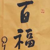 南宅55头像