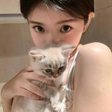 正直光束lgh头像