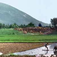 无拘无束的过去时光头像