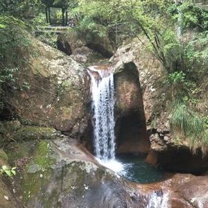 诺丽神阿香婆头像