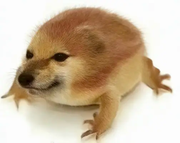 用户161383598887的个人资料头像